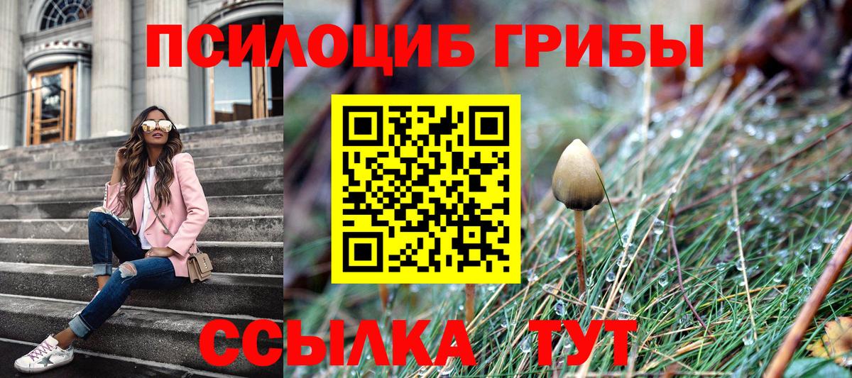 Галлюциногенные грибы Magic Shrooms Борзя